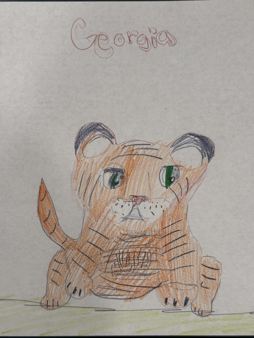 Original Georgia drawing on paper